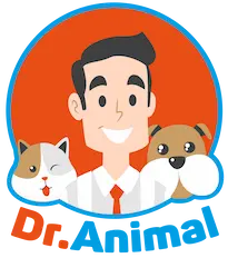 dr-animal